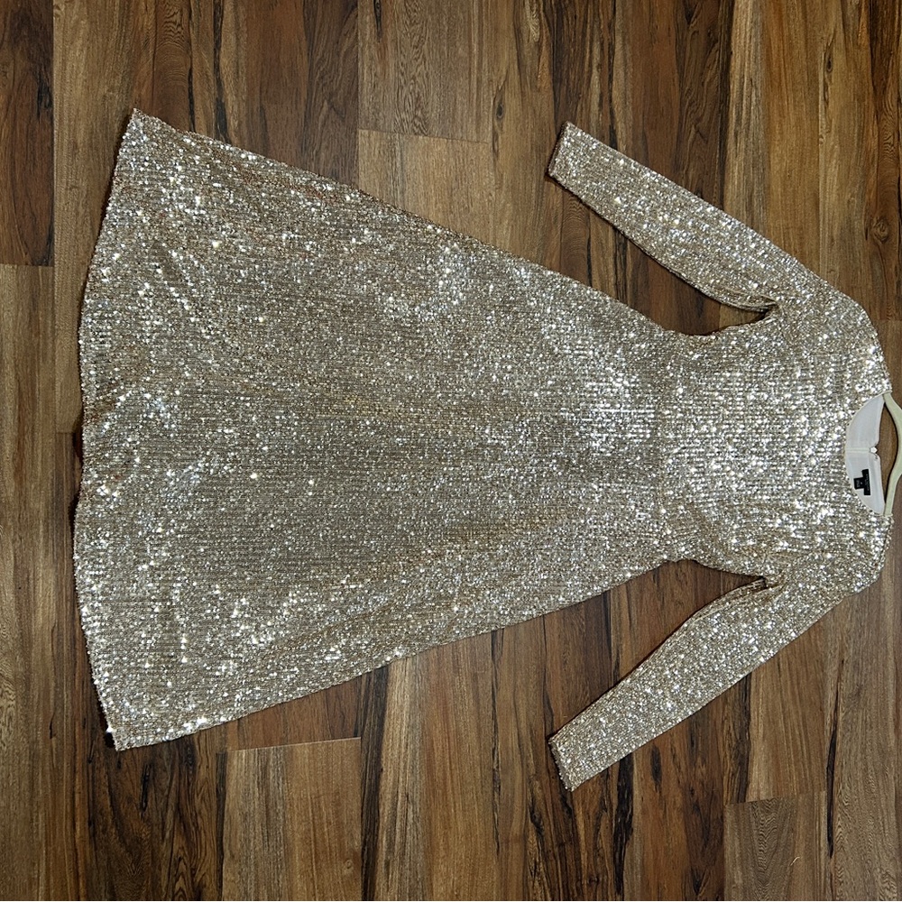 Ann Taylor Silver Sequin Dress